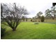 136 Pyramul Road, Mudgee NSW 2850