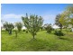 Mudgee NSW 2850