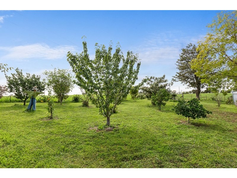 Mudgee NSW 2850