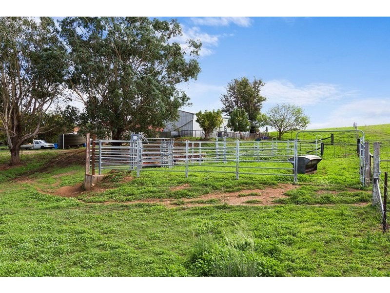 Mudgee NSW 2850