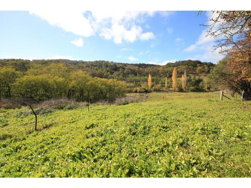 Mudgee NSW 2850