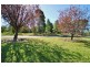 87 Madeira Road, Mudgee NSW 2850