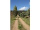 Mudgee NSW 2850