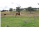 Wellington NSW 2820