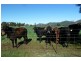 Wellington NSW 2820