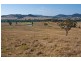 Wellington NSW 2820