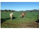 Wellington NSW 2820