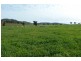 Wellington NSW 2820