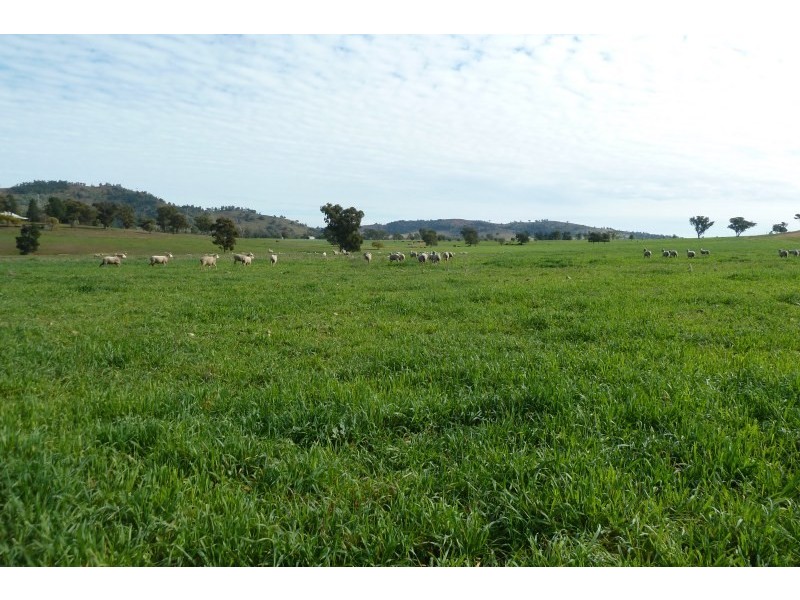 Wellington NSW 2820
