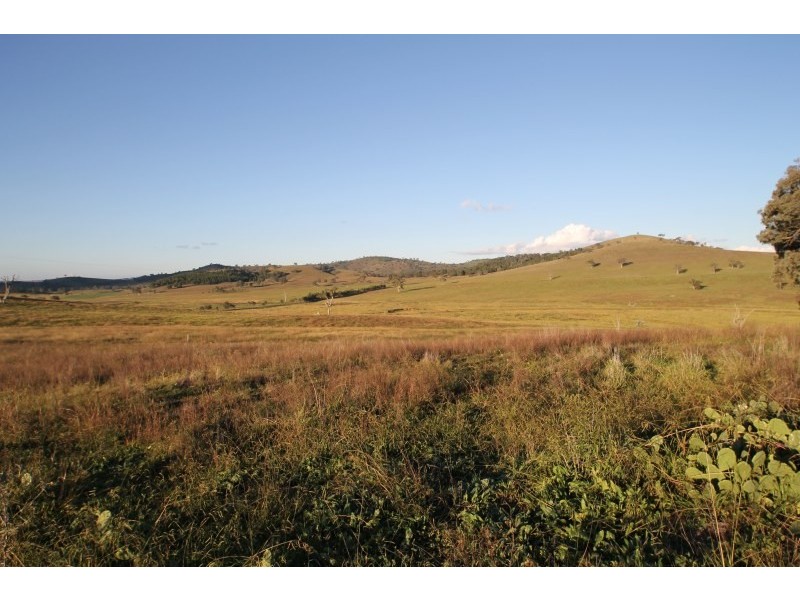 829 Kaludabah Road, Mudgee NSW 2850