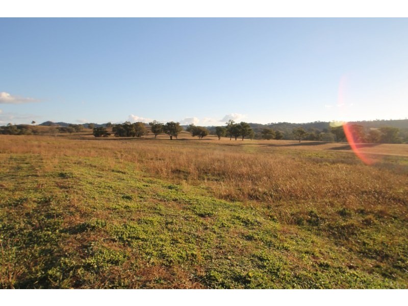 829 Kaludabah Road, Mudgee NSW 2850