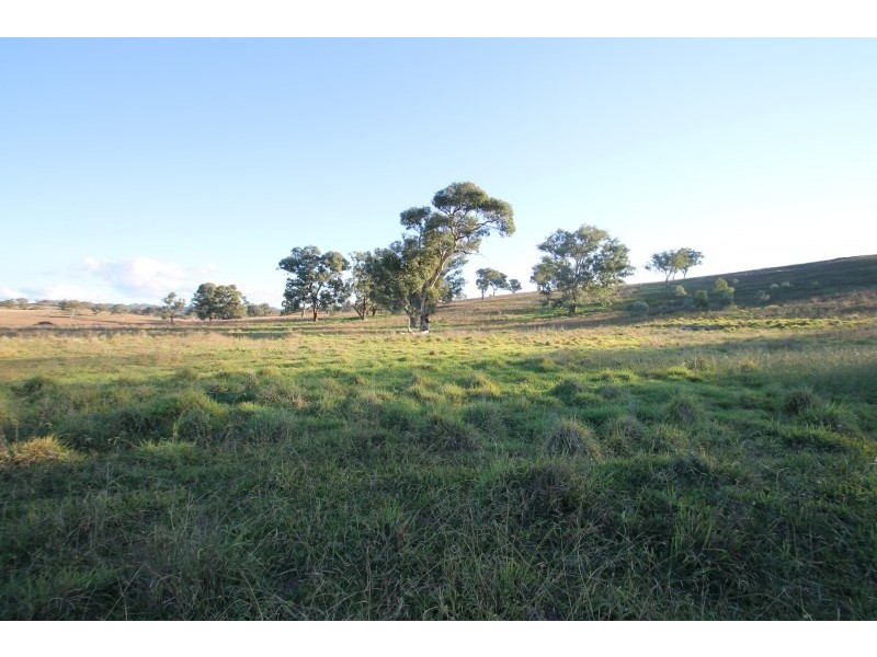 829 Kaludabah Road, Mudgee NSW 2850