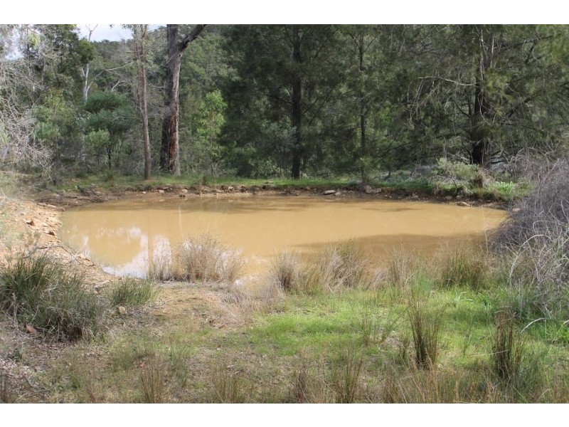 591 Riverlea Road, Mudgee NSW 2850