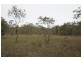 240 Cypress Drive, Mudgee NSW 2850
