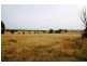 Mudgee NSW 2850