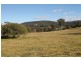 1117 Botobolar Road, Mudgee NSW 2850