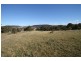 1117 Botobolar Road, Mudgee NSW 2850