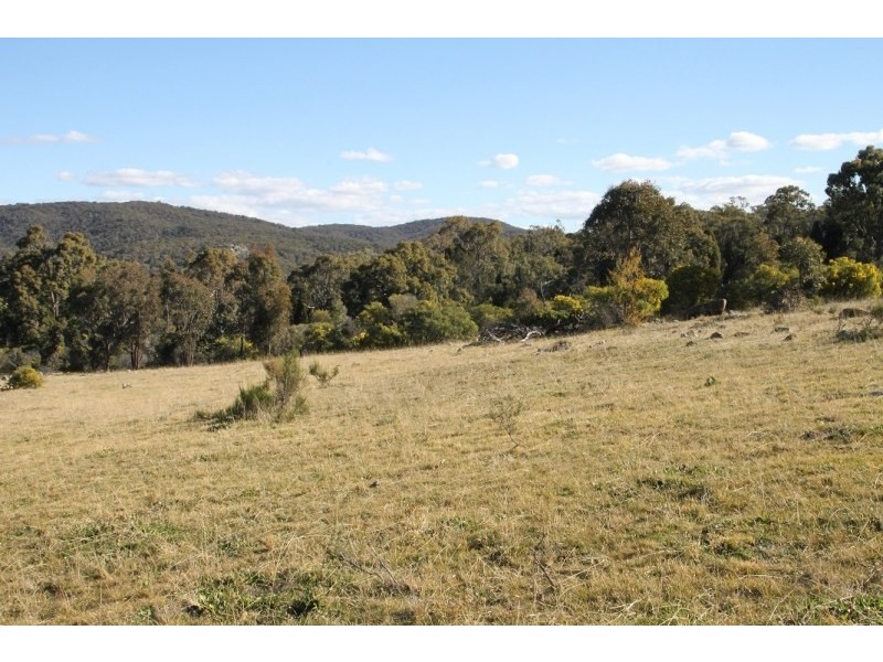 1117 Botobolar Road, Mudgee NSW 2850