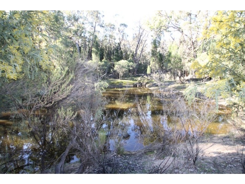 1117 Botobolar Road, Mudgee NSW 2850