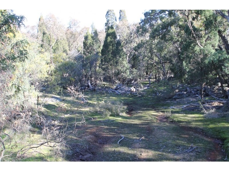 1117 Botobolar Road, Mudgee NSW 2850