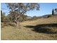 1117 Botobolar Road, Mudgee NSW 2850