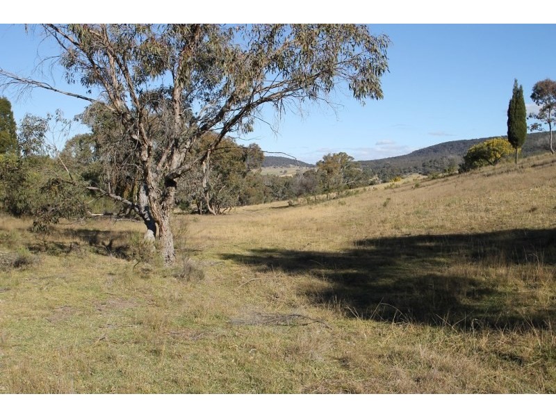 1117 Botobolar Road, Mudgee NSW 2850