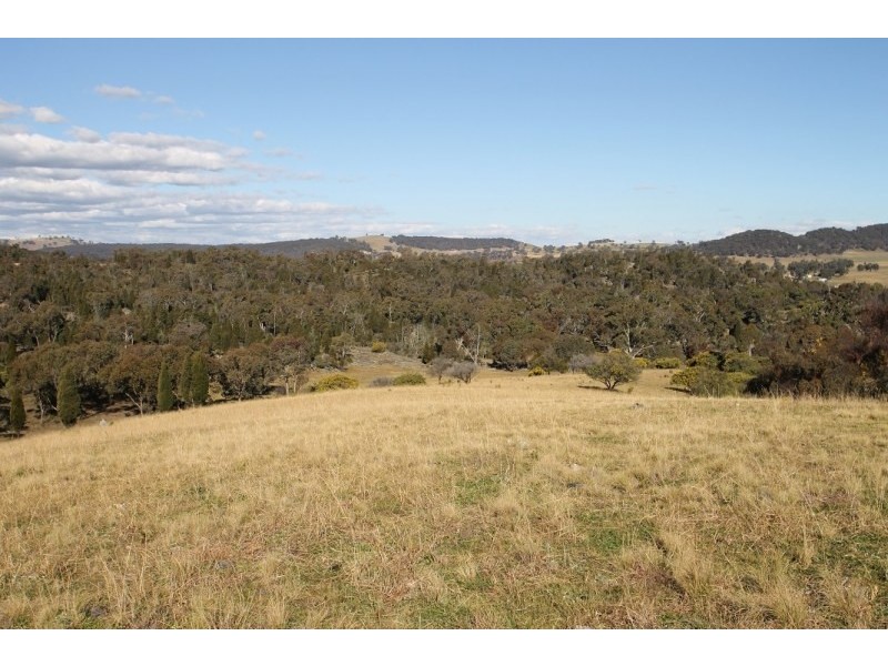 1117 Botobolar Road, Mudgee NSW 2850