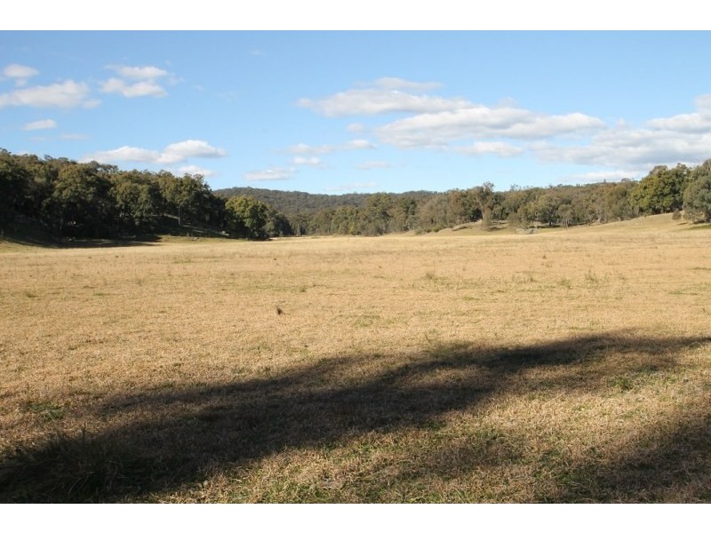 1117 Botobolar Road, Mudgee NSW 2850