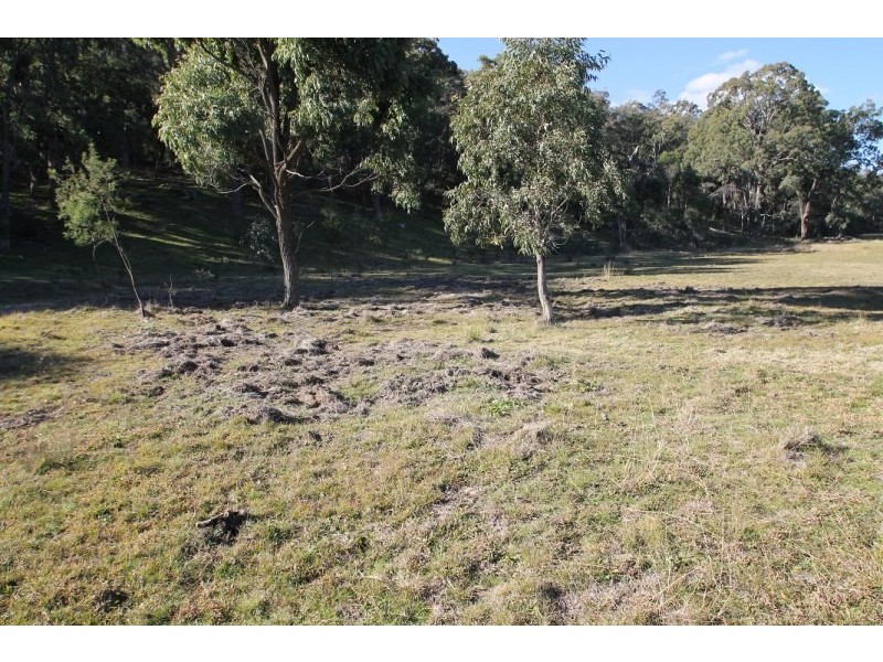 1117 Botobolar Road, Mudgee NSW 2850