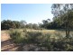 1117 Botobolar Road, Mudgee NSW 2850