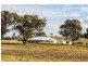 Mudgee NSW 2850