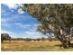 Mudgee NSW 2850