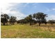 Mudgee NSW 2850