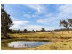 Mudgee NSW 2850
