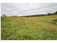 1049 Pyangle Road, Mudgee NSW 2850