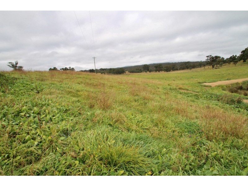 1049 Pyangle Road, Mudgee NSW 2850