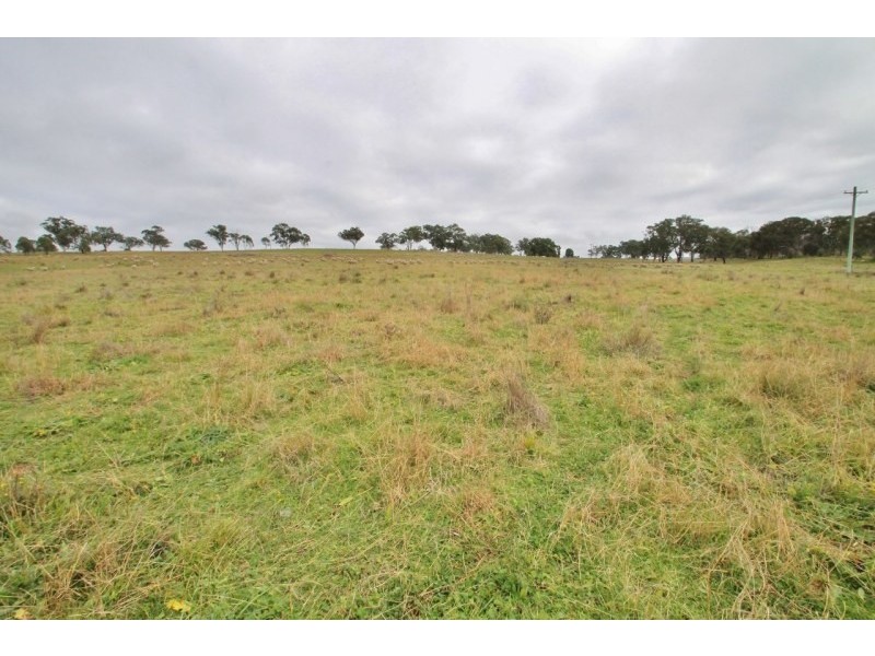 Lot 8, 1011 Pyangle Road, Mudgee NSW 2850