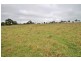 Lot 8, 1011 Pyangle Road, Mudgee NSW 2850