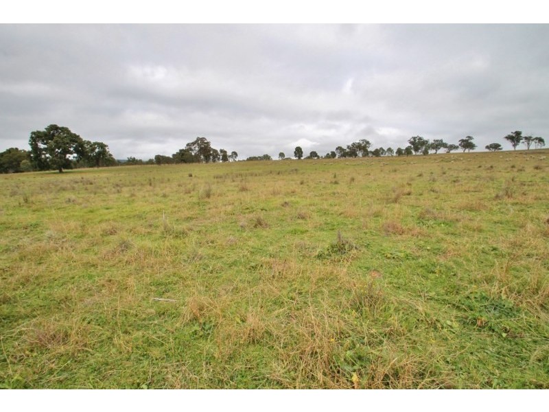 Lot 8, 1011 Pyangle Road, Mudgee NSW 2850