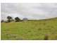 Lot 8, 1011 Pyangle Road, Mudgee NSW 2850