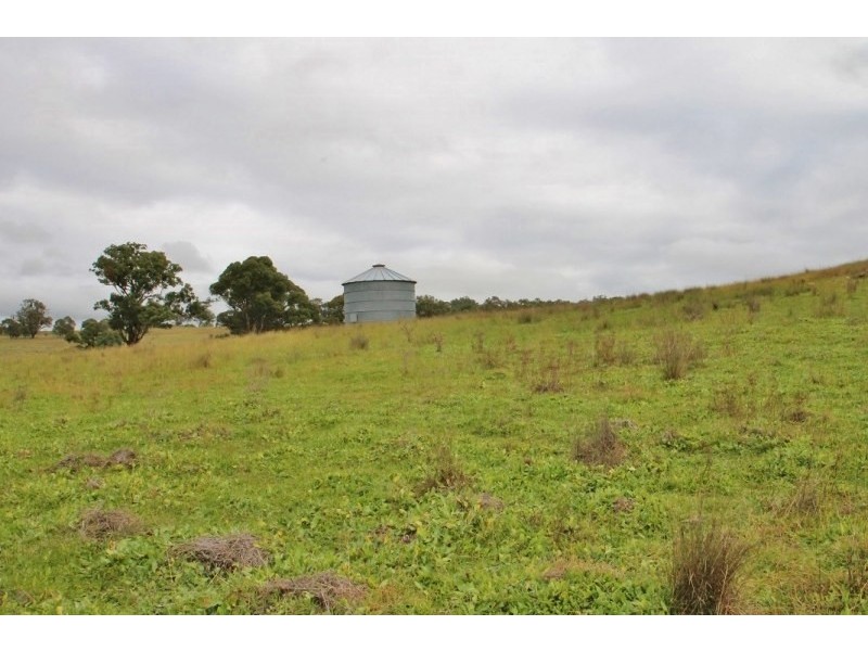 Lot 8, 1011 Pyangle Road, Mudgee NSW 2850