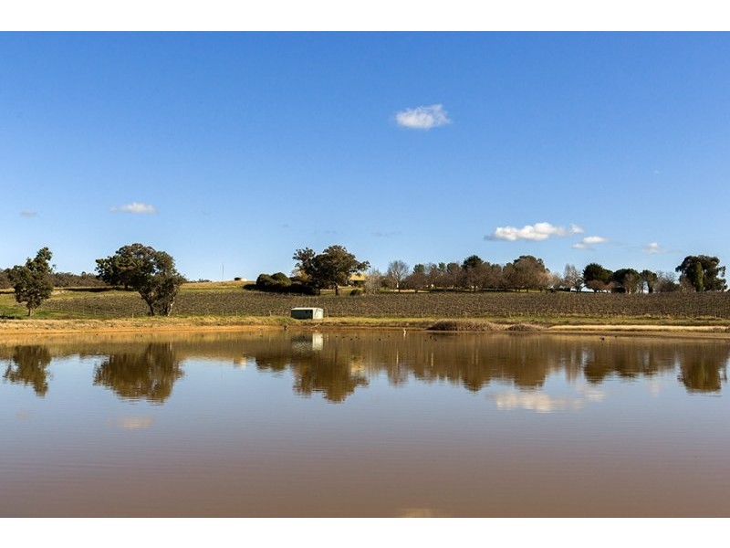 Mudgee NSW 2850