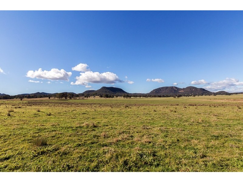 Mudgee NSW 2850