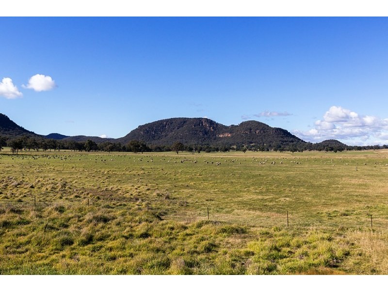 Mudgee NSW 2850