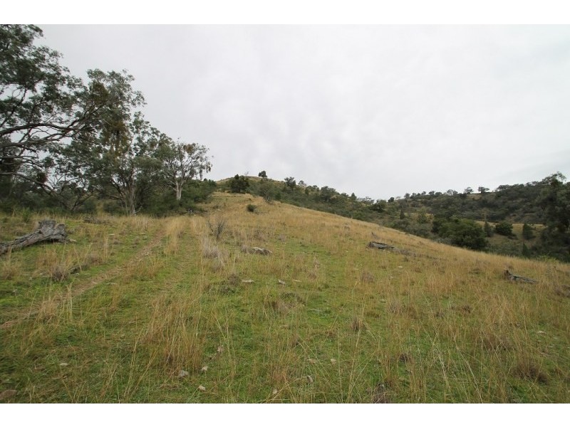 Mudgee NSW 2850