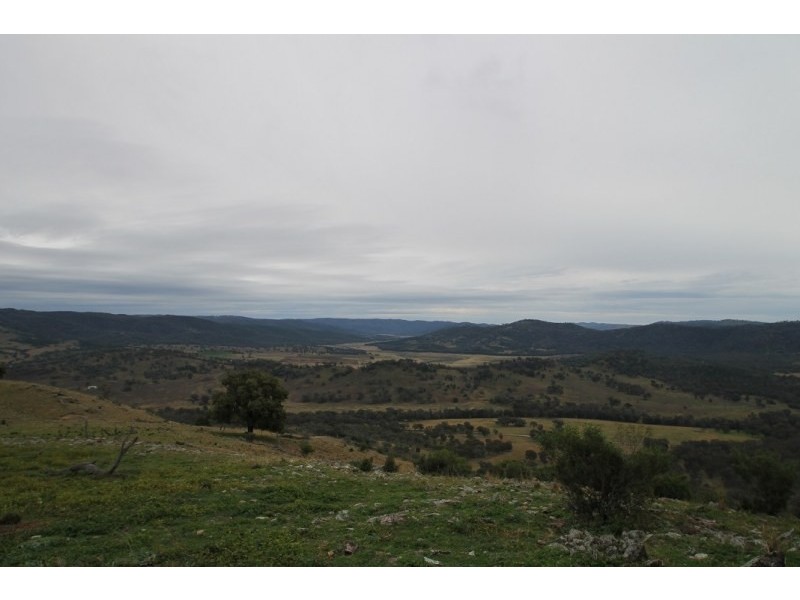 Mudgee NSW 2850