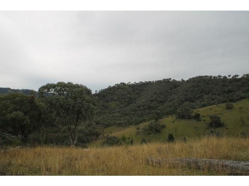 Mudgee NSW 2850