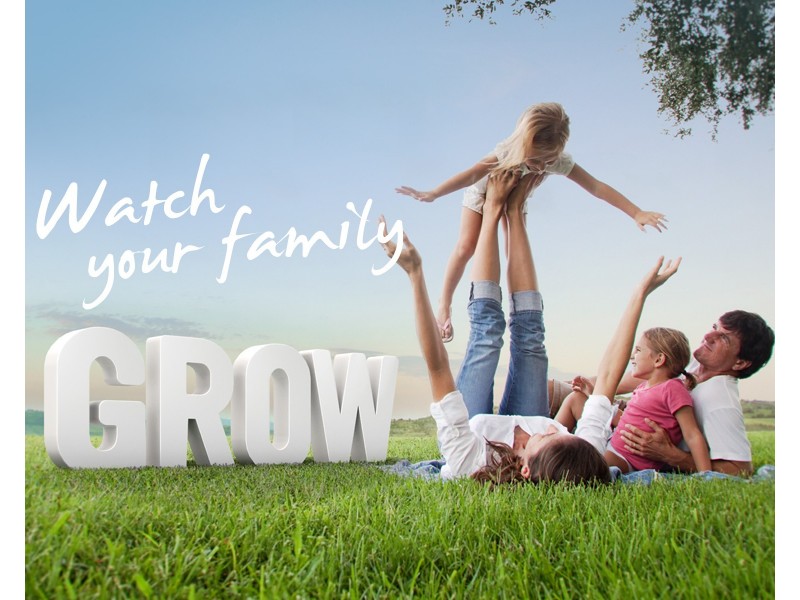 Hill End Road, Mudgee NSW 2850