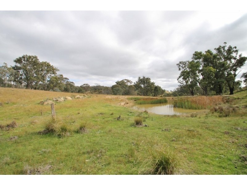Lot 1, 724 Upper Piambong Road, Mudgee NSW 2850