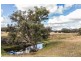 69 Upper Mebul Road, Mudgee NSW 2850
